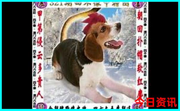 2个人去日本玩一周要多少钱